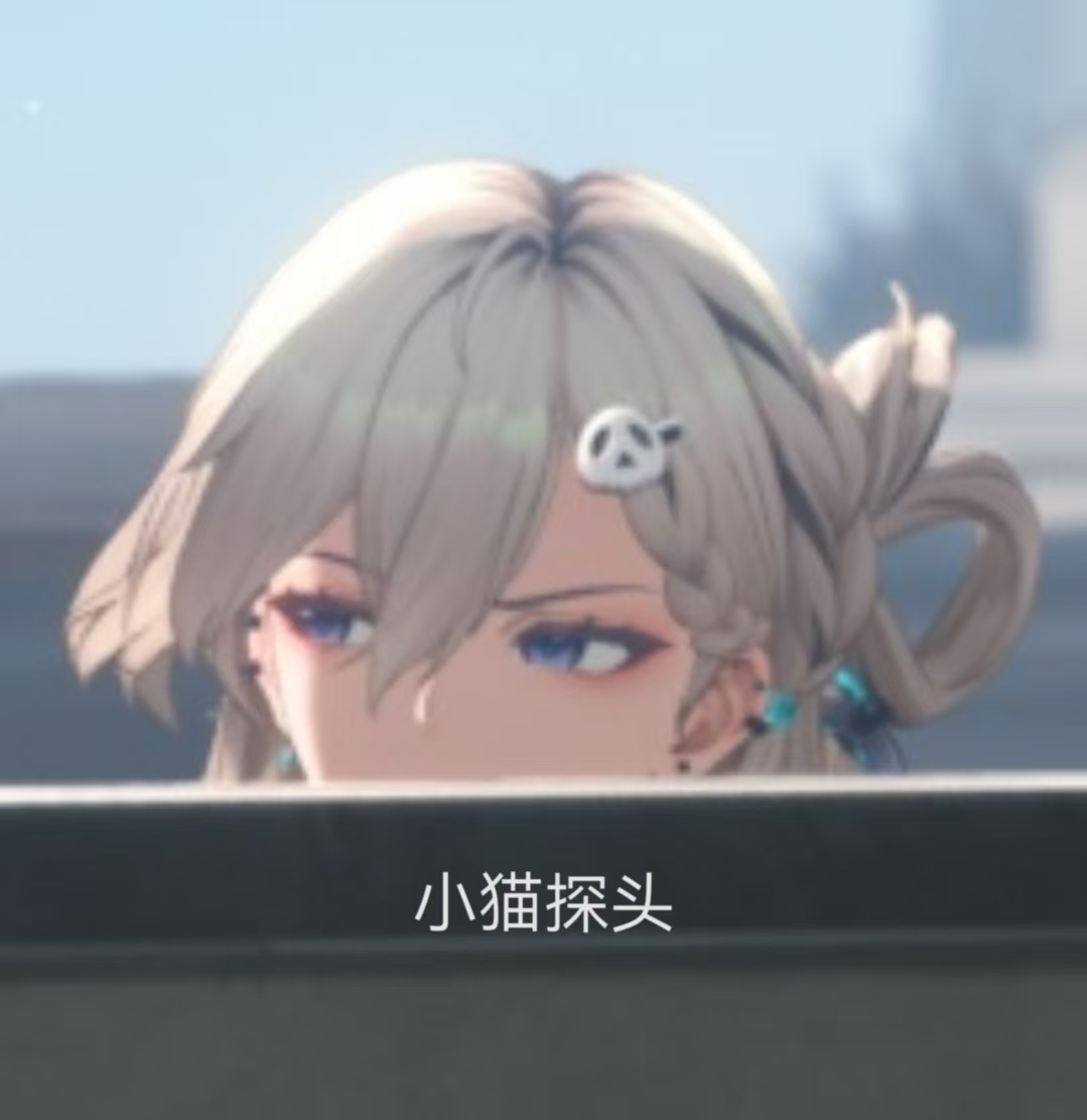 小猫探头